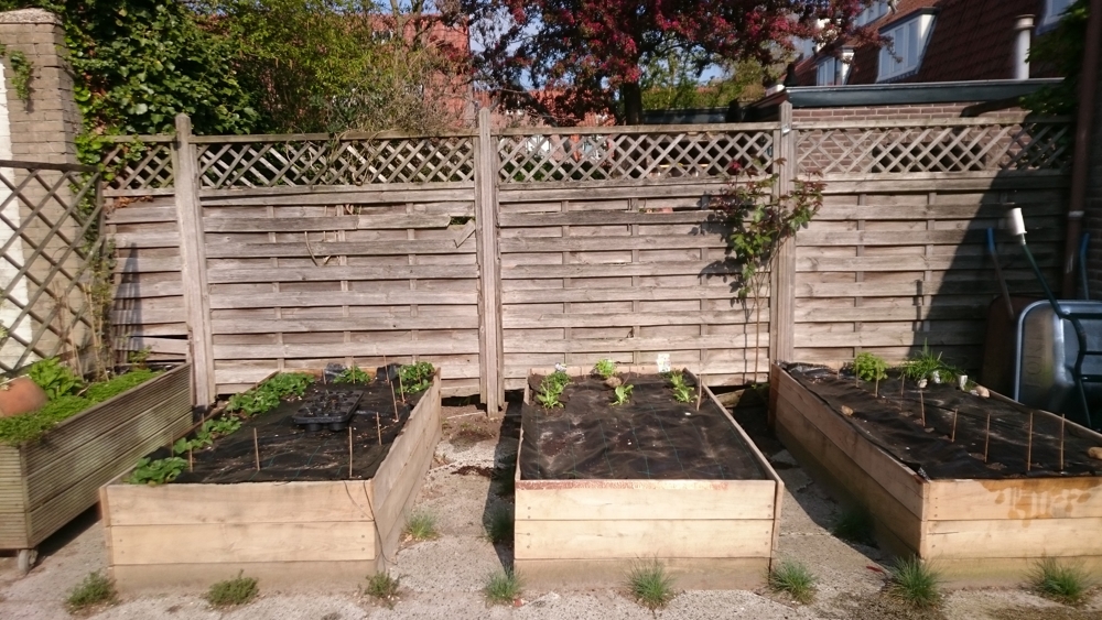 raised beds finished spring 2019